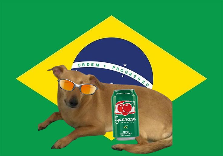 Dog composition with Brazil flag